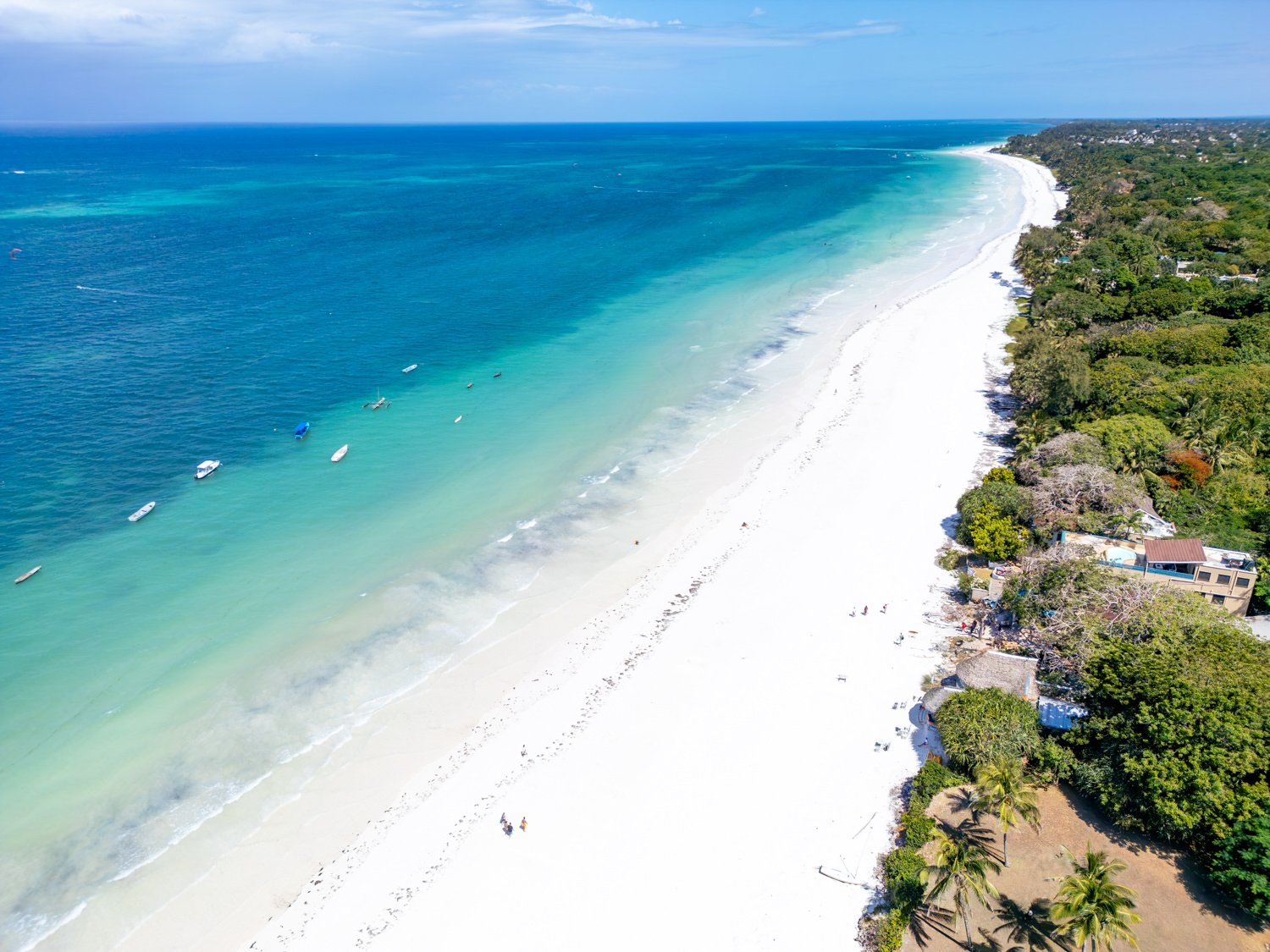 0012-Tequila Aerials 2026-DJI_0242.jpg
