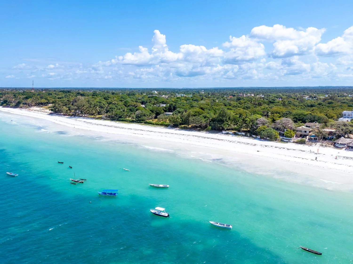 0004-Tequila Aerials 2026-DJI_0212.jpg