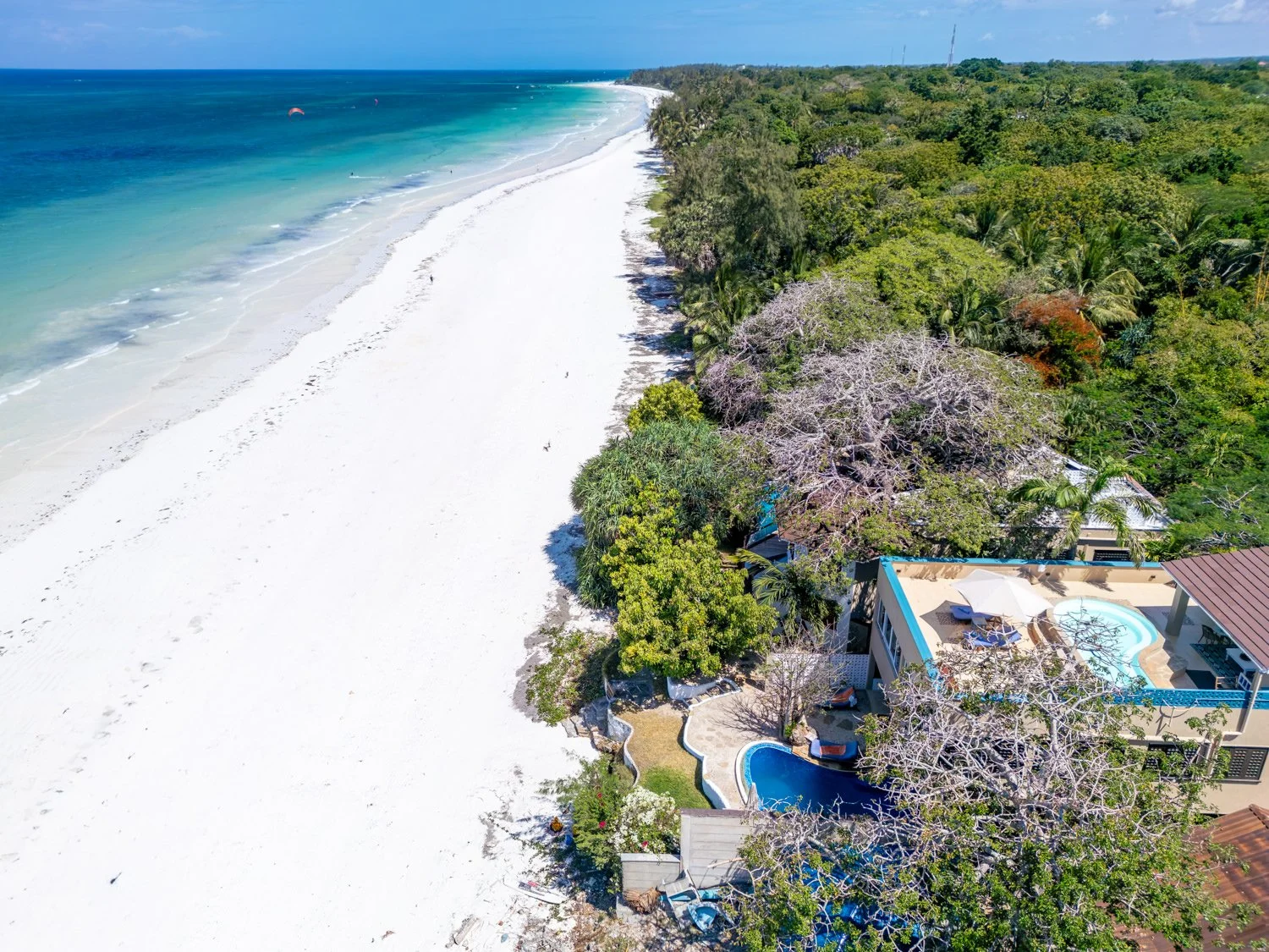 0010-Tequila Aerials 2026-DJI_0222.jpg