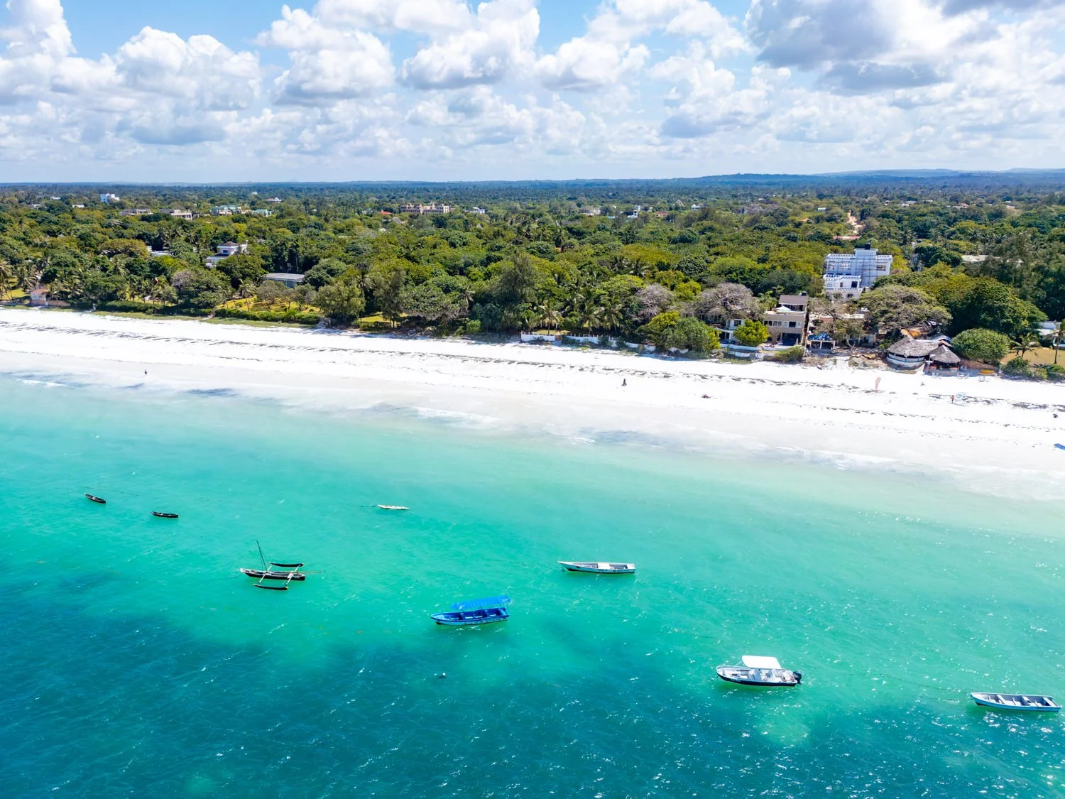 0003-Tequila Aerials 2026-DJI_0210.jpg