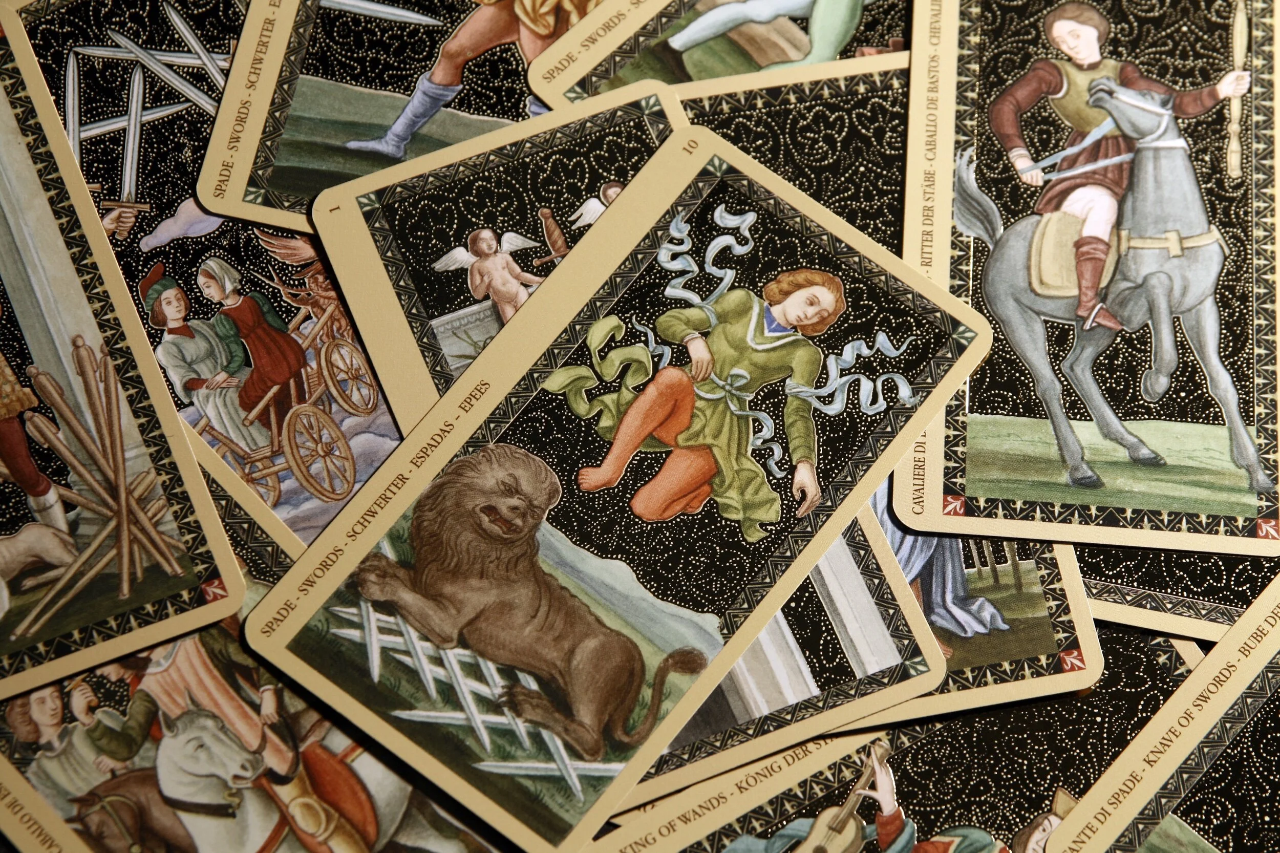 1C0ACD25-9316-4461-A720-B7BC9DDE2143