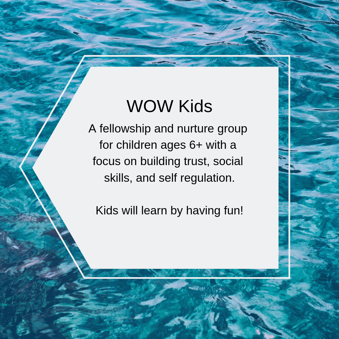 For our next learning series our WOW Kid’s will meet on the following dates: 4/9 - Rules and Safety (and why we have them) 4/23 - Engine Plates and Self-Regulation 5/14 - Giving Voice (Why my words are important) 5/28 - Please and Thank you (Why manners matter)