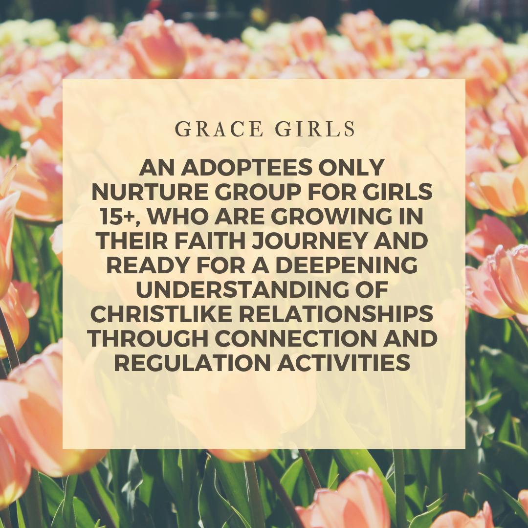 For our next learning series our Grace Girl’s will meet on the following dates: 4/9 - Safety (create and recognize safe spaces) 4/23 - Self-Regulation (Coping & Calming Strategies) 5/14 - Strength in Speaking (Giving Voice) 5/28 - Seeking Solutions (navigating problem solving)