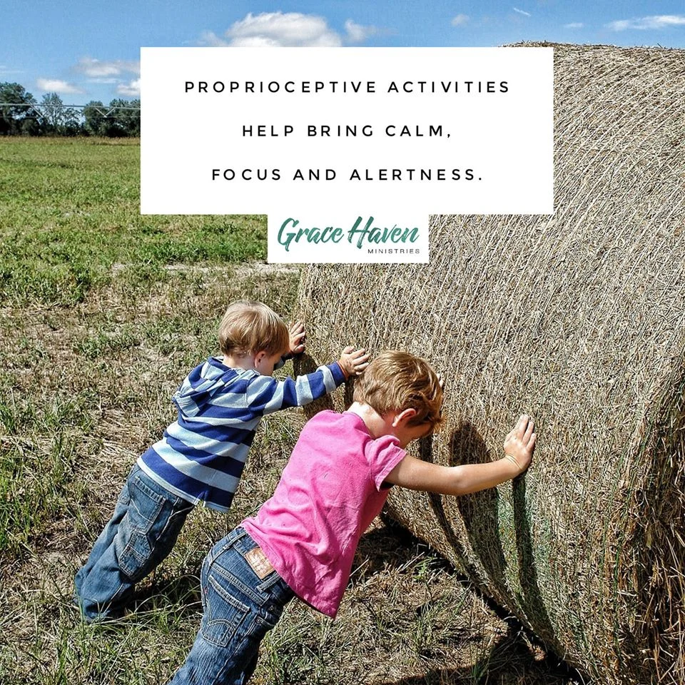 Proprioceptive Activities: What are they &amp; How do they help?