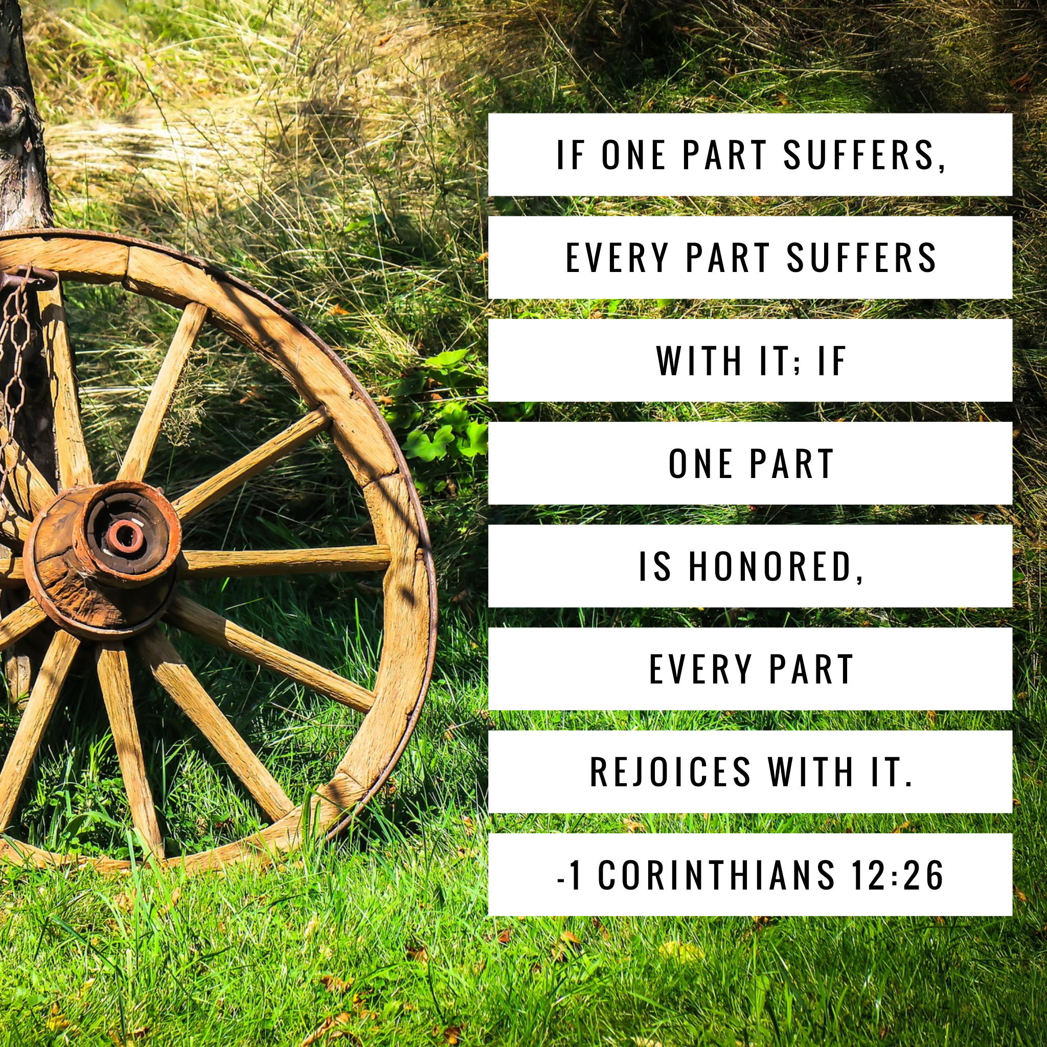 Wagon Wheel