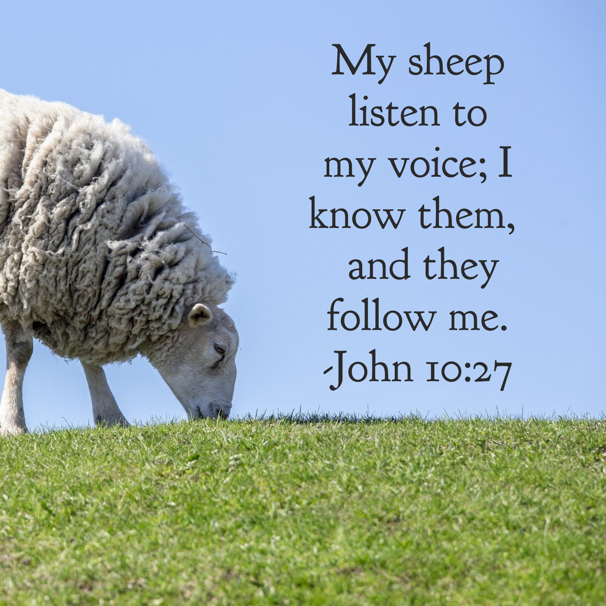 Identity in Christ
