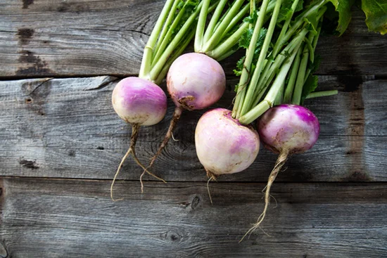veggie_of_the_month_turnip_image1.jpg