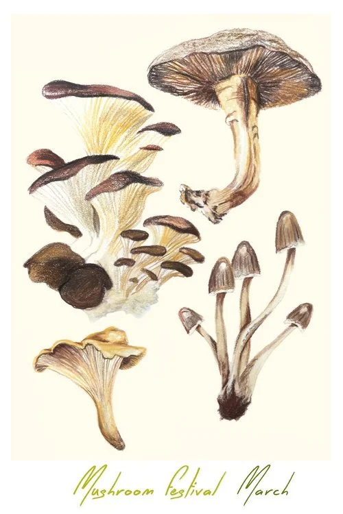 mushroom_fesitvalcard_021419 (1).jpg
