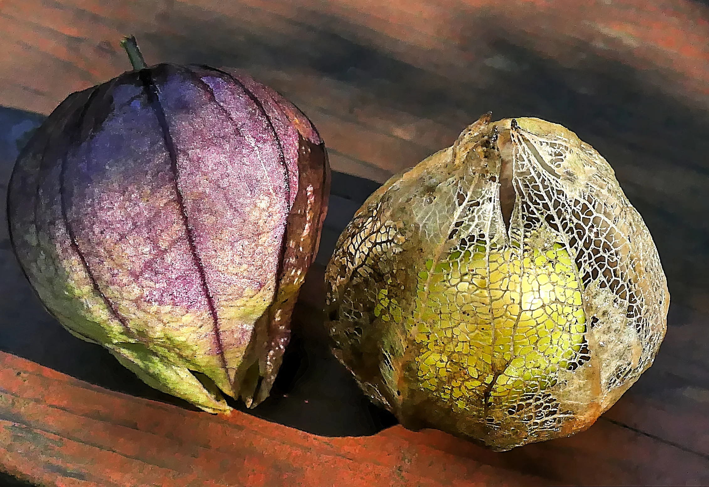 Tomatillos_in_October2.jpg