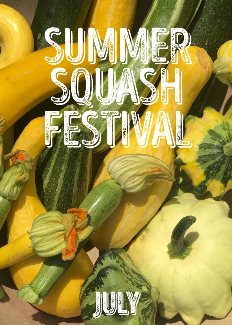 7-jul-18-summer squash.jpg
