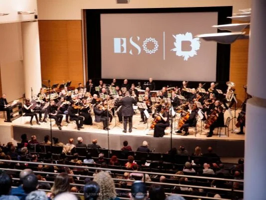 Brooklyn Symphony Orchestra, 2019. (Photo: Kolin Mendez Photography)