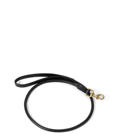 Rolled Leather Collar & Lead Sets