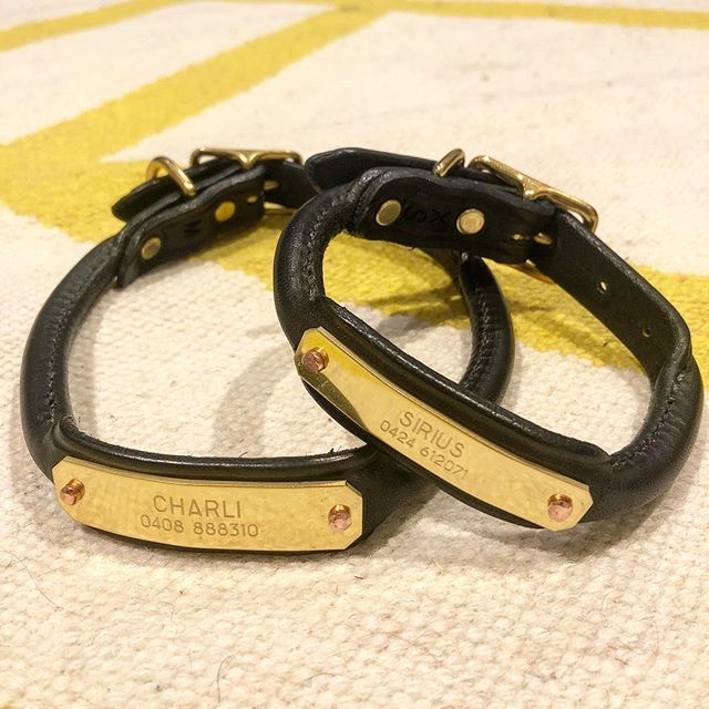 A couple of lucky pups will be getting their bling on soon... #tacleather #bridleleather #personalisedgifts #personaliseddogcollar #tacworthy #notagneeded #handmadeleathercollar #ilovemydog #dogsofinstagram #dogsofsydney #pups #dog