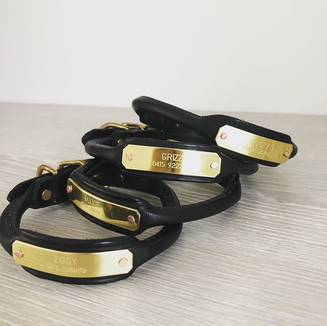 Heading out the door today - looking for the perfect Christmas present for your pooch - Look no further - jump on line and order yours now #tacleather #bridleleather #personaliseddogcollar #christmas #uniquegifts