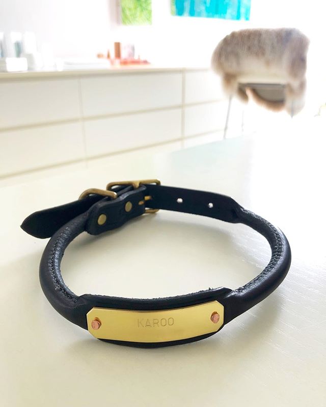 This one goes out the door for a second time #thanksaustpost🤨 heading to a lucky city living pooch #tacleathercollars #bridleleather #tacleather #tacworthy #dogsofinstagram #luckypup #ilovemydog