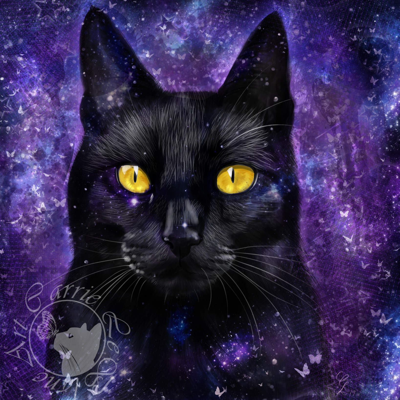 12 Black Cat in Space.png