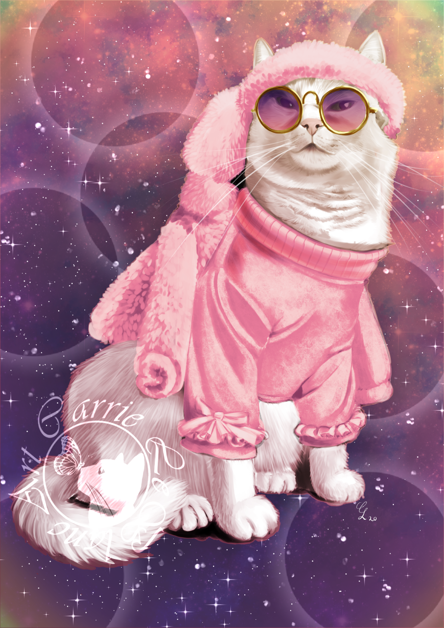 21 White Cat in Pink Sweater Print.png