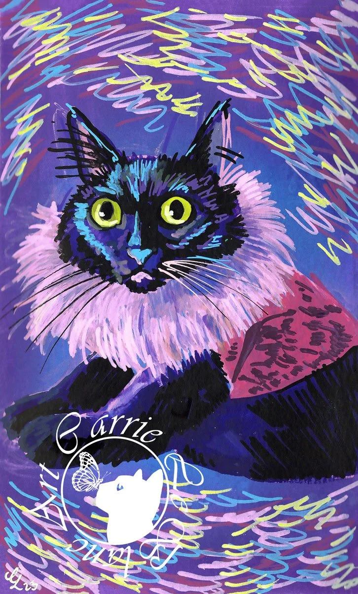 41. Scooter