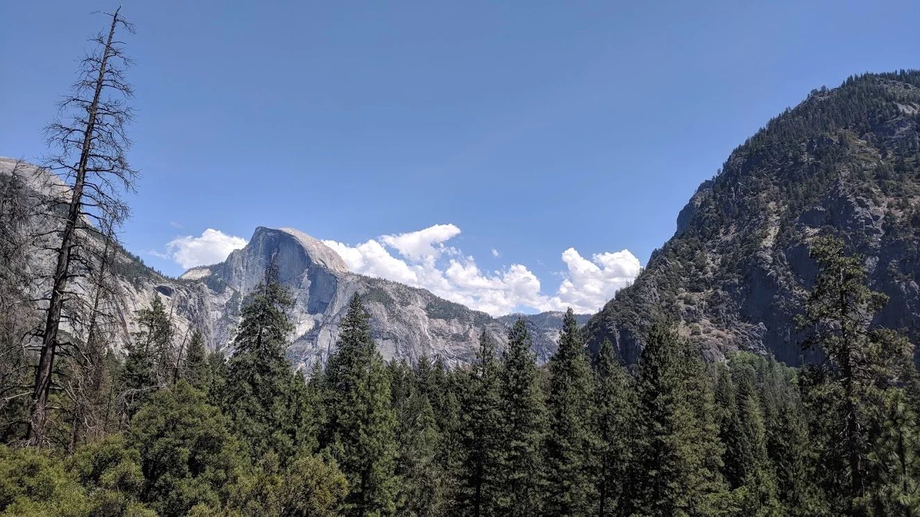 IMG_20180708_135403.jpg