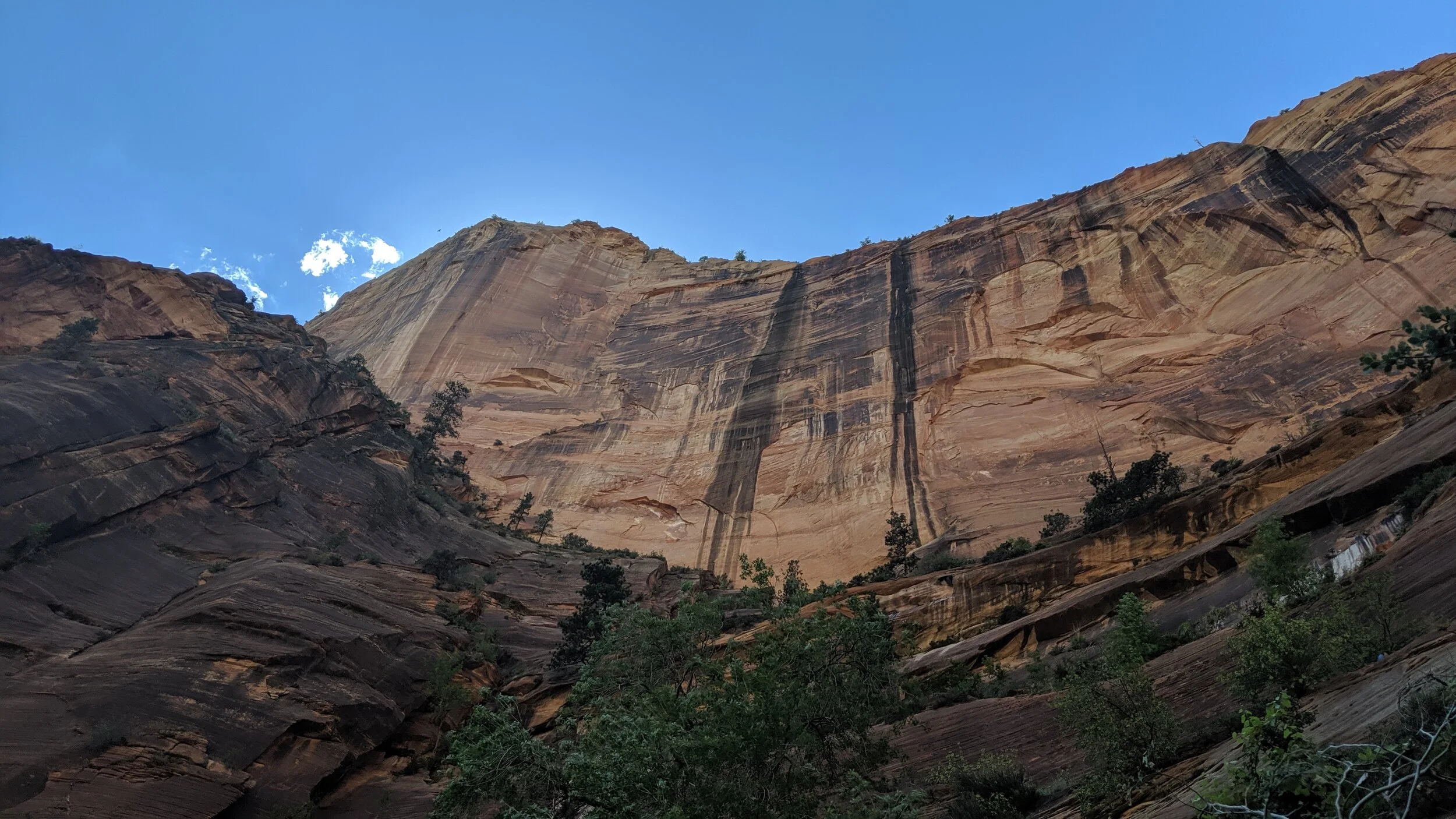IMG_20190615_143726.jpg