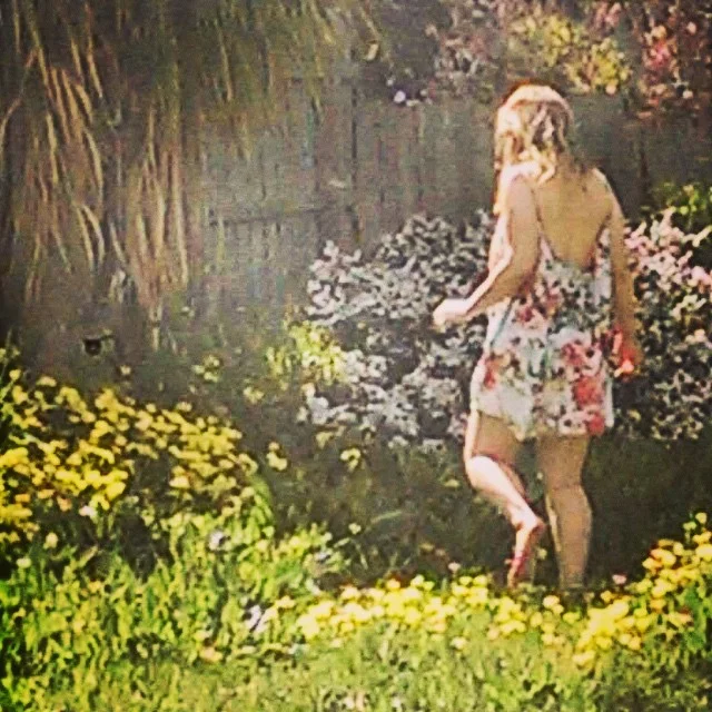 insta backyard foraging.jpg