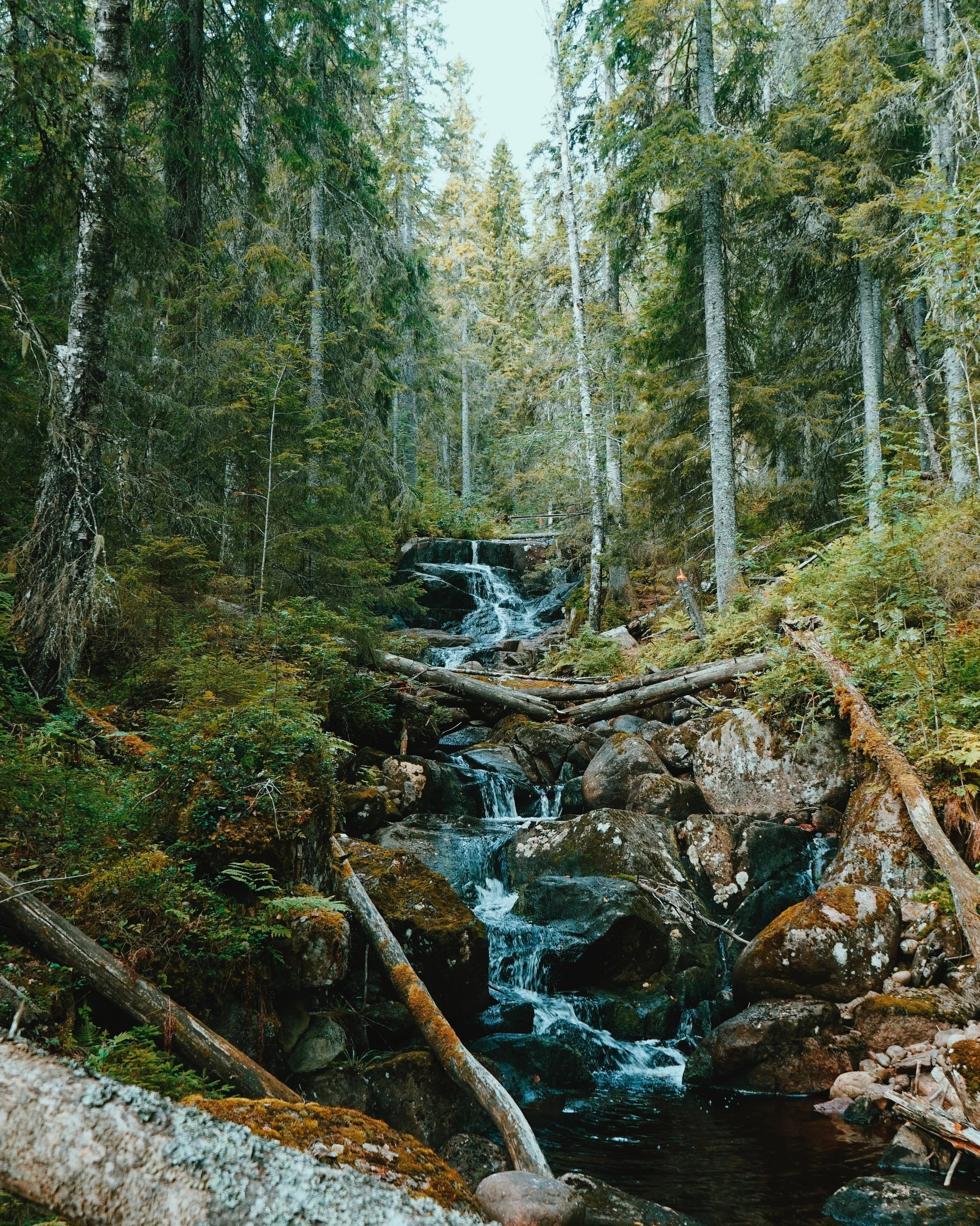 oscar-nilsson-601470-unsplash.jpg