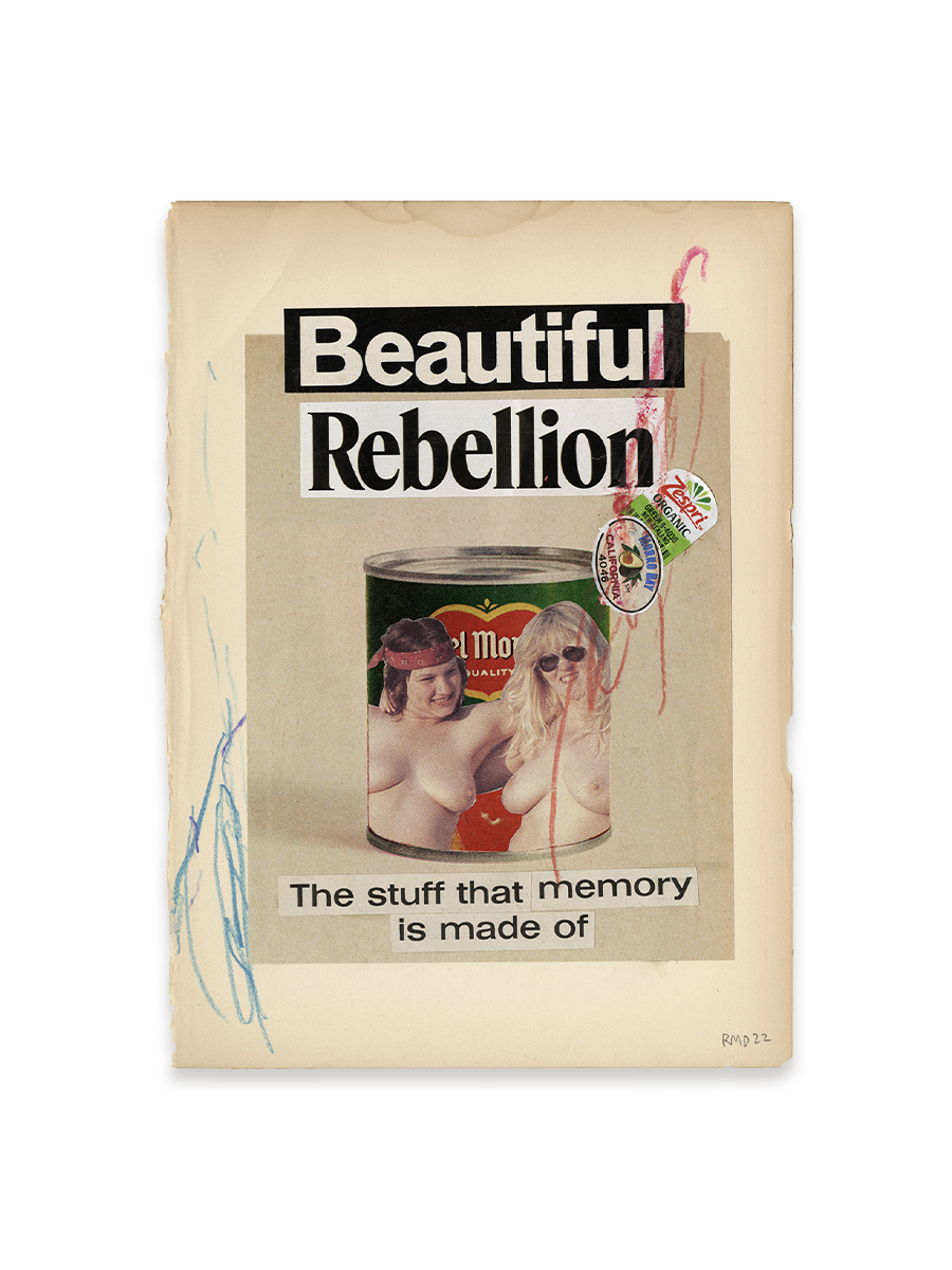 4x3_works-on-paper_beautiful-rebellion.png