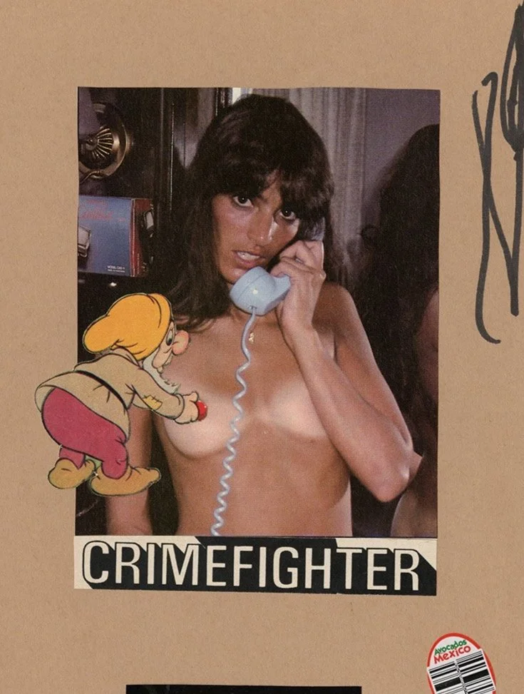 Crimefighter_sml.jpg