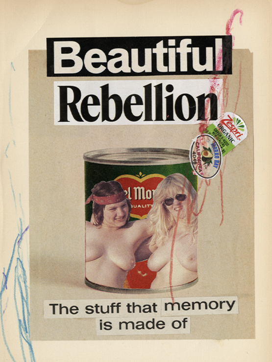 4x3_works-on-paper_beautiful-rebellion.png