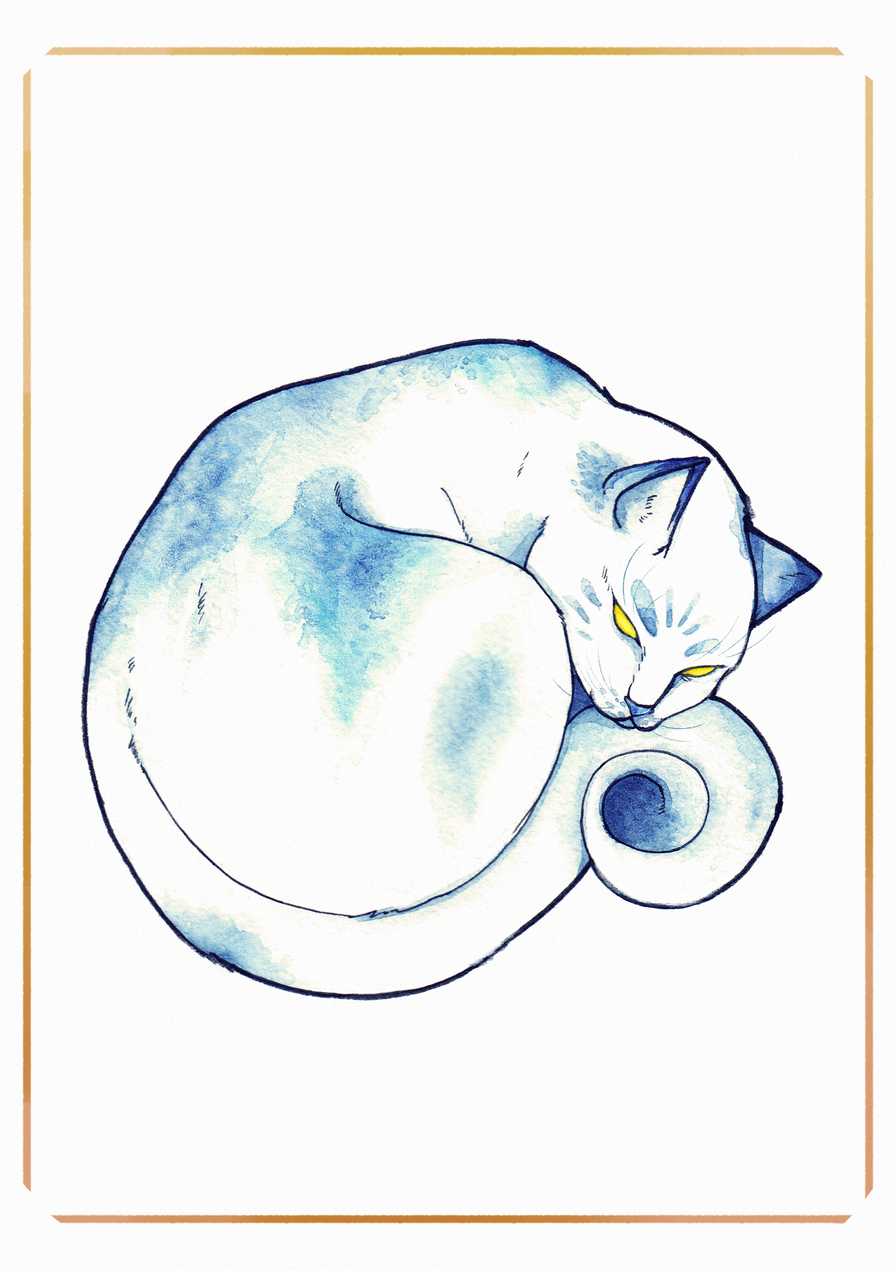 blueberry cat.png