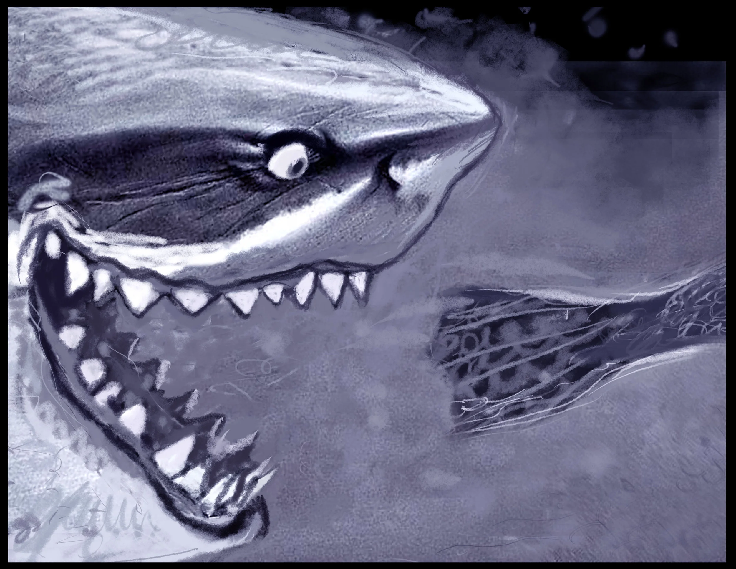 SEAL_SHARK_Fin.jpg