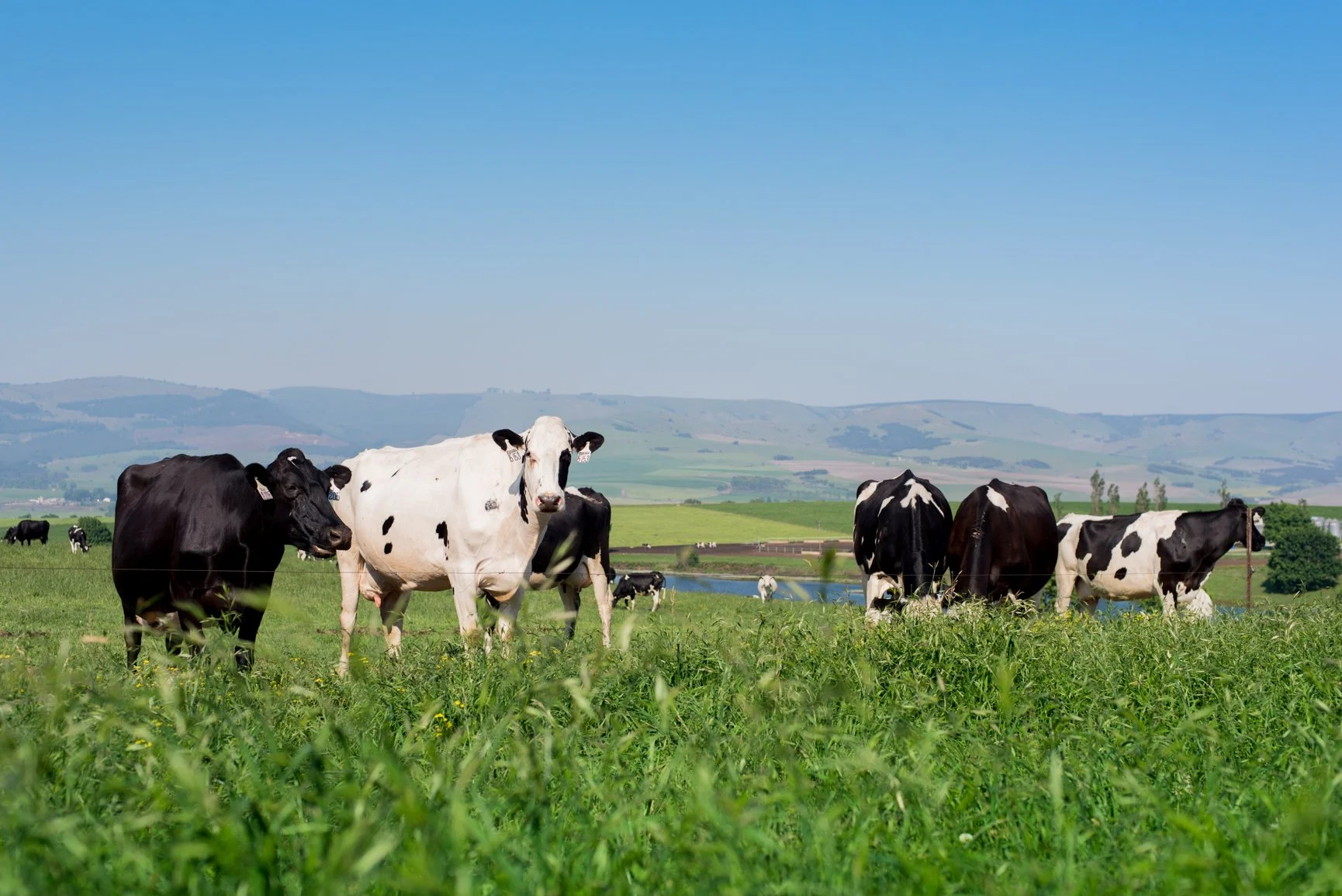 Contact — Creighton Valley Cheese