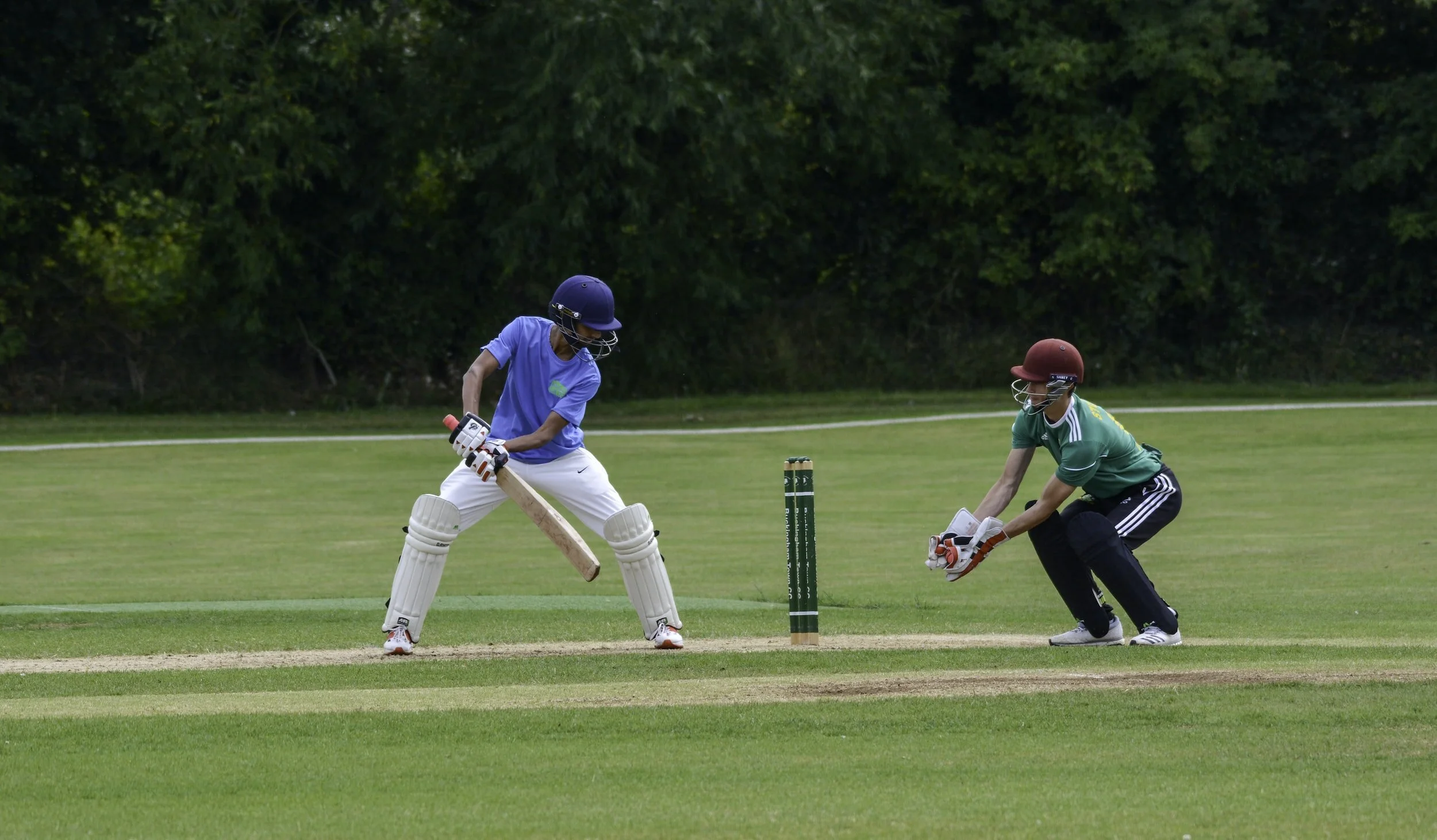 Yr 5/6 Mixed Dynamos Cricket