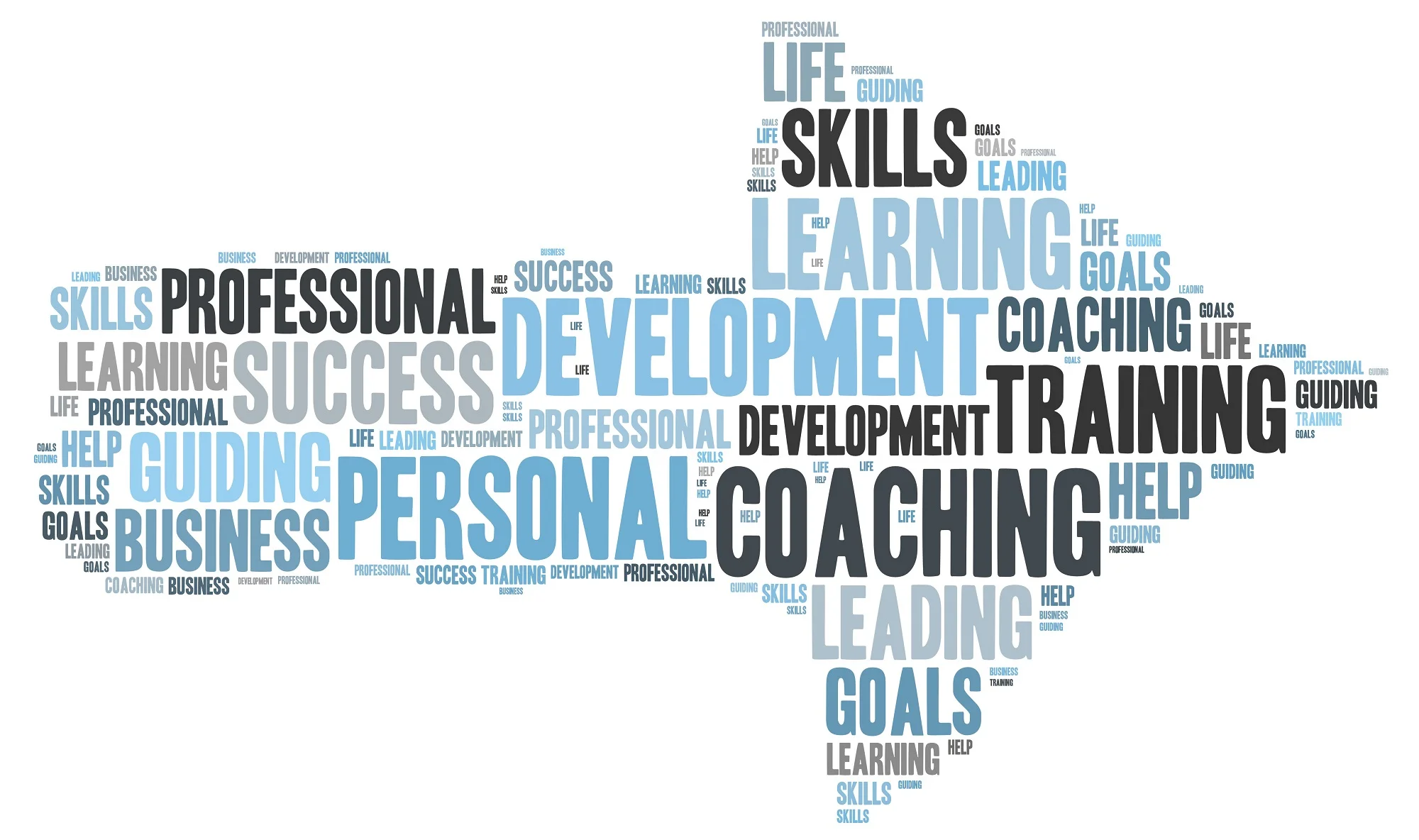 BMS BAS Training