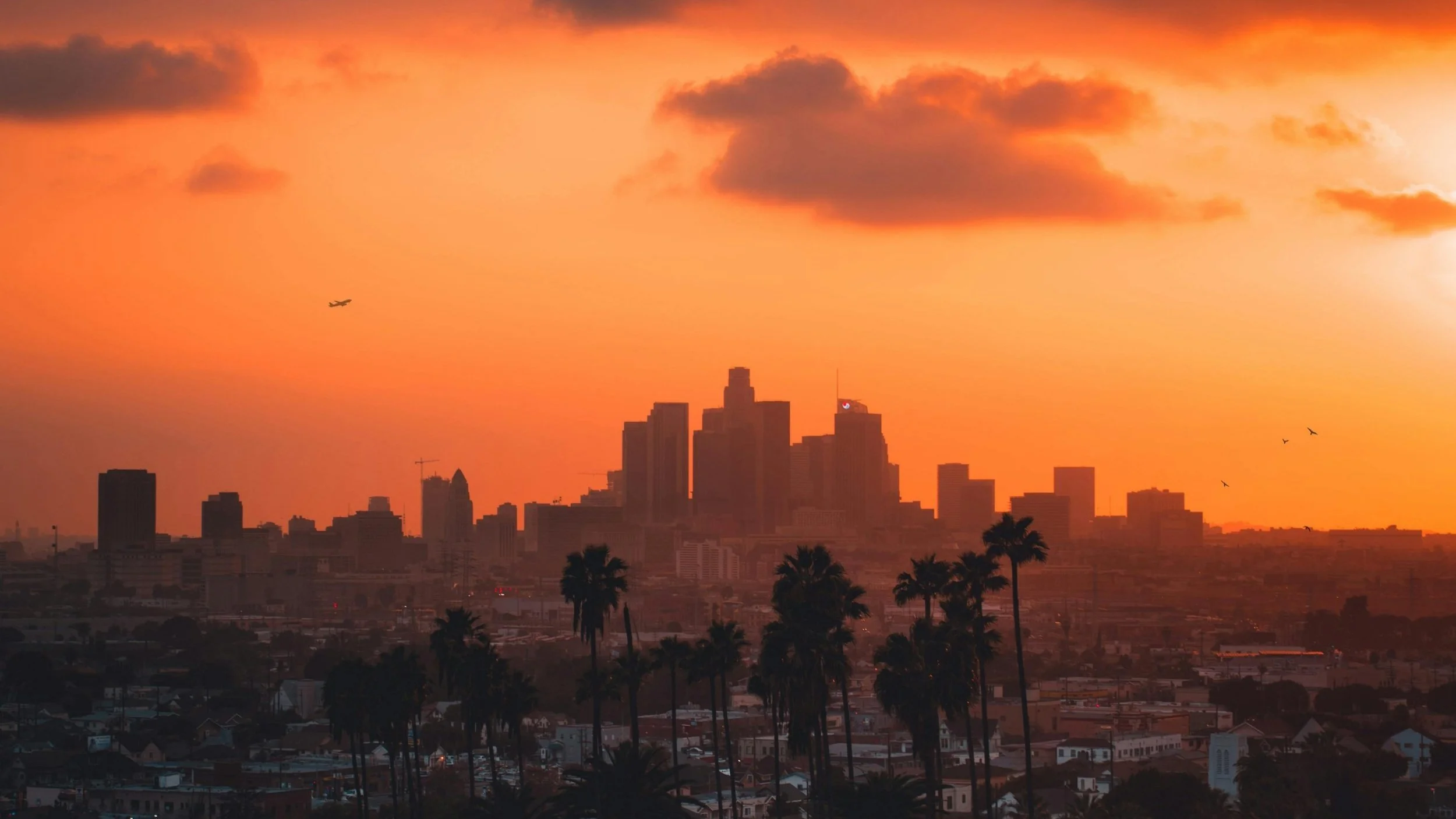 Wildfires, Permitting and Construction