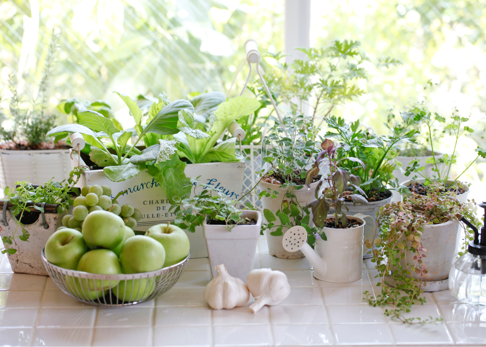 Kitchen Gardens: Choosing Plants, Herbs, Veggies, and Fruits for LA Homes