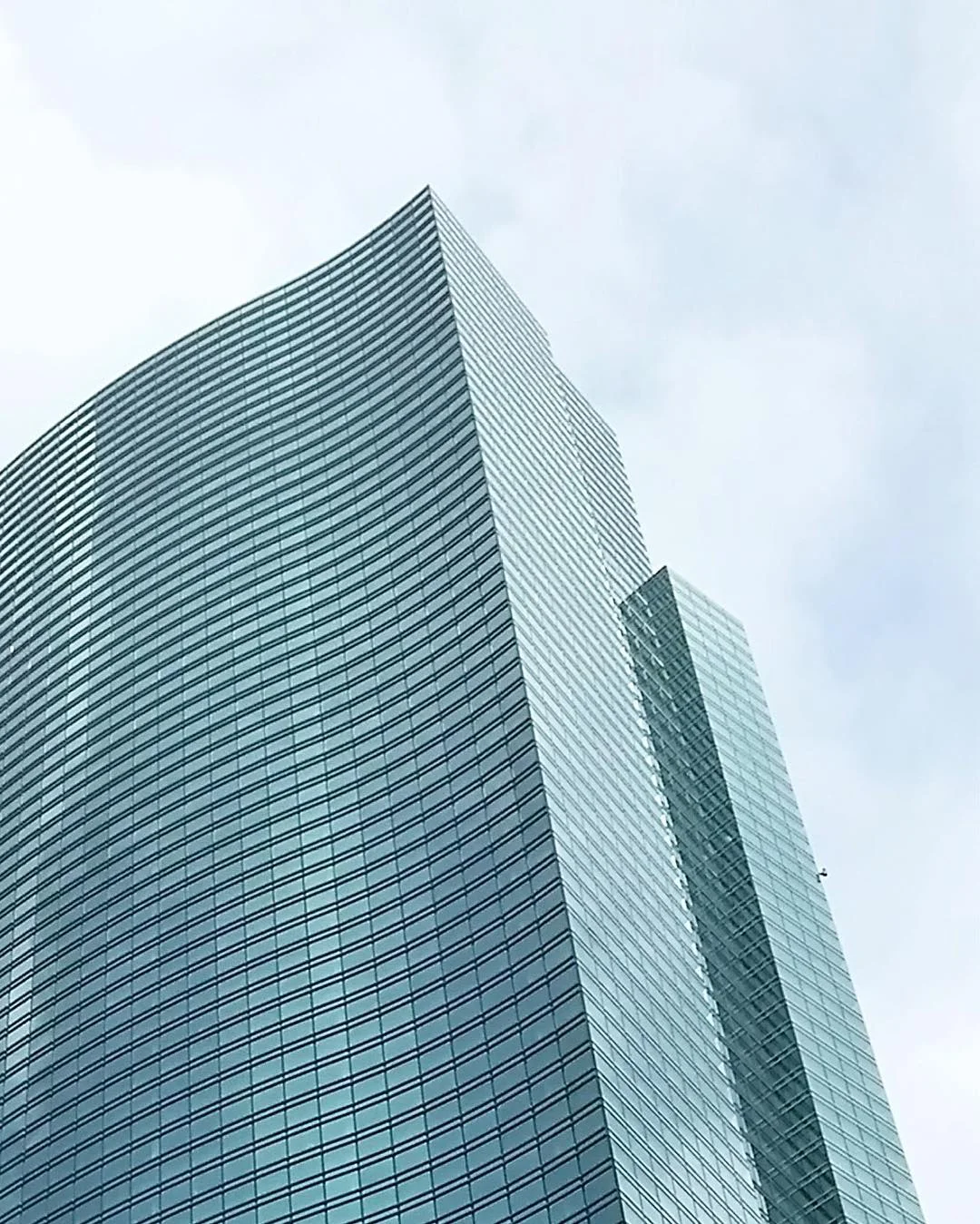 13687058_1145850118867471_465970009_n.jpg