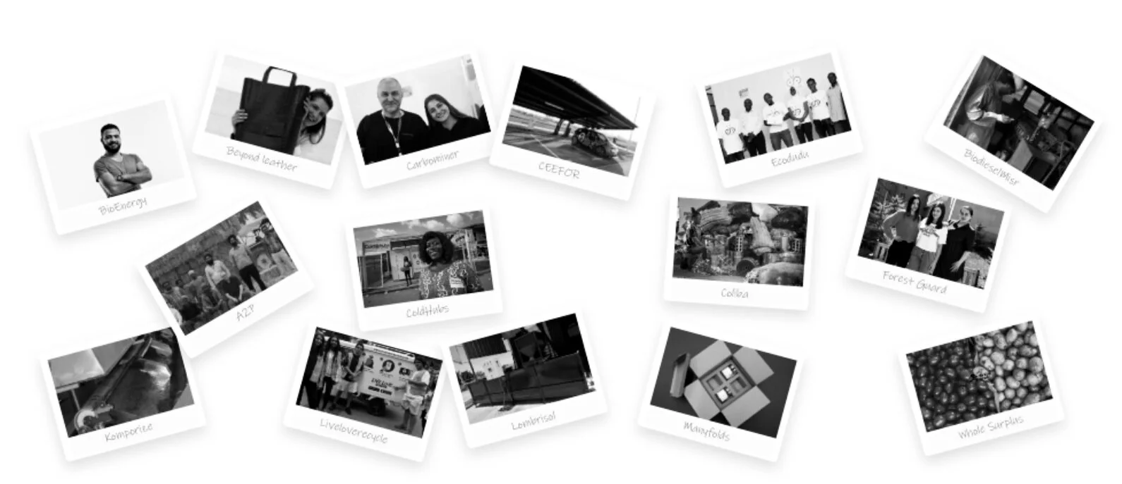 Biodiesel Misr comes in the fifth place in Clim@ 2020