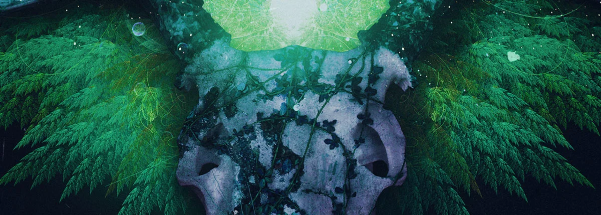 DLMD_FINAL_JZ_WINTER_detail.jpg