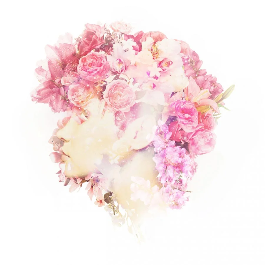 Roses-Clean-uai-900.jpg