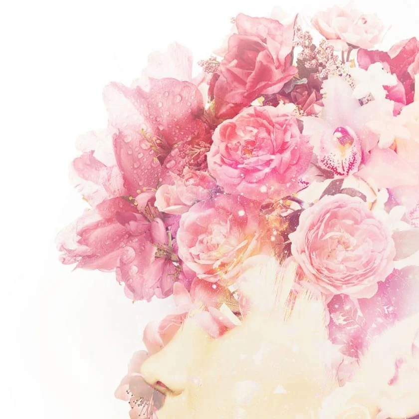 Roses-detail-2-uai-840.jpg