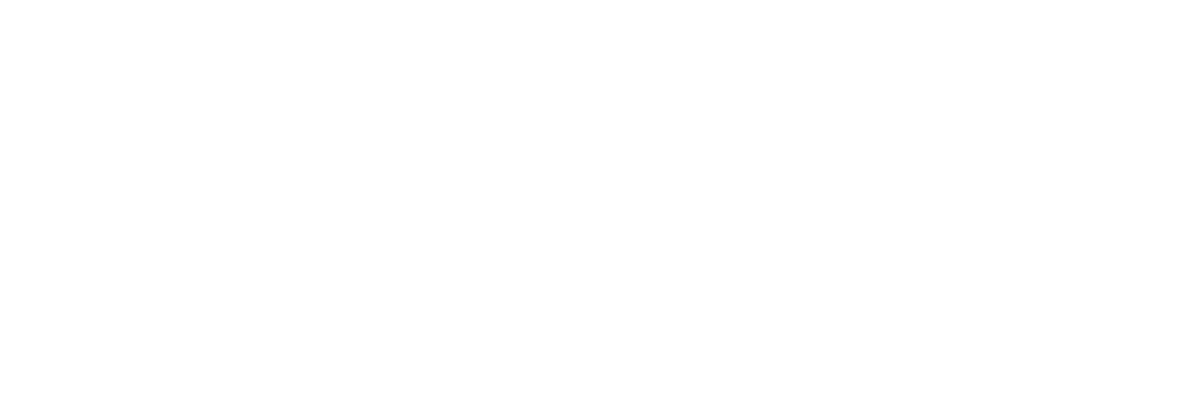 TYPOGRAPHIC LOGO