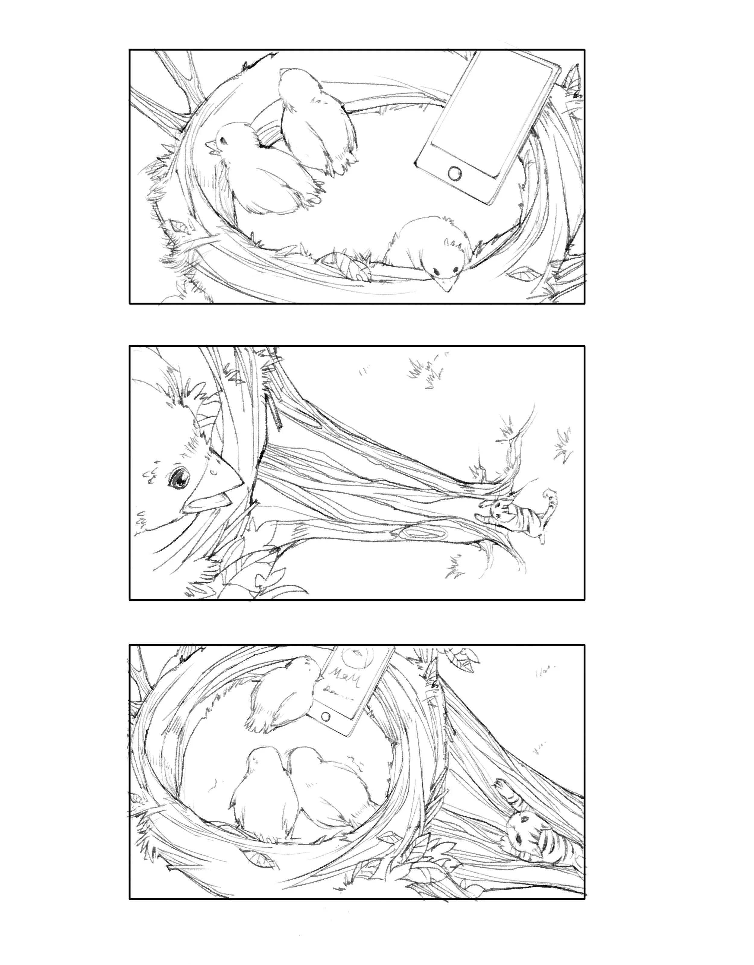 鸟1.jpg