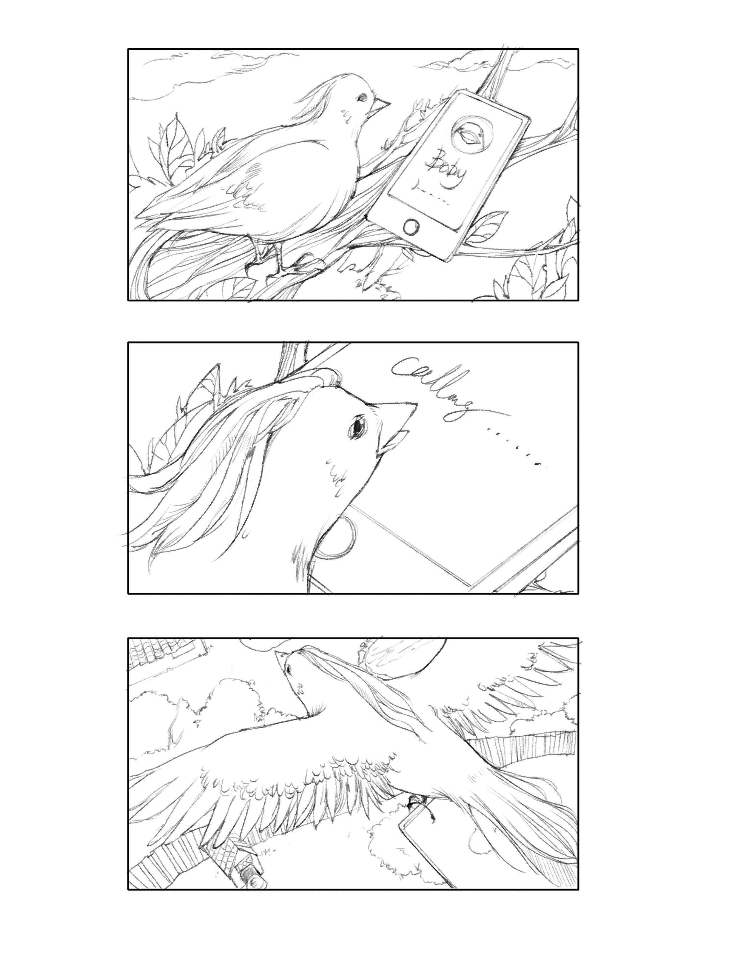 鸟2.jpg