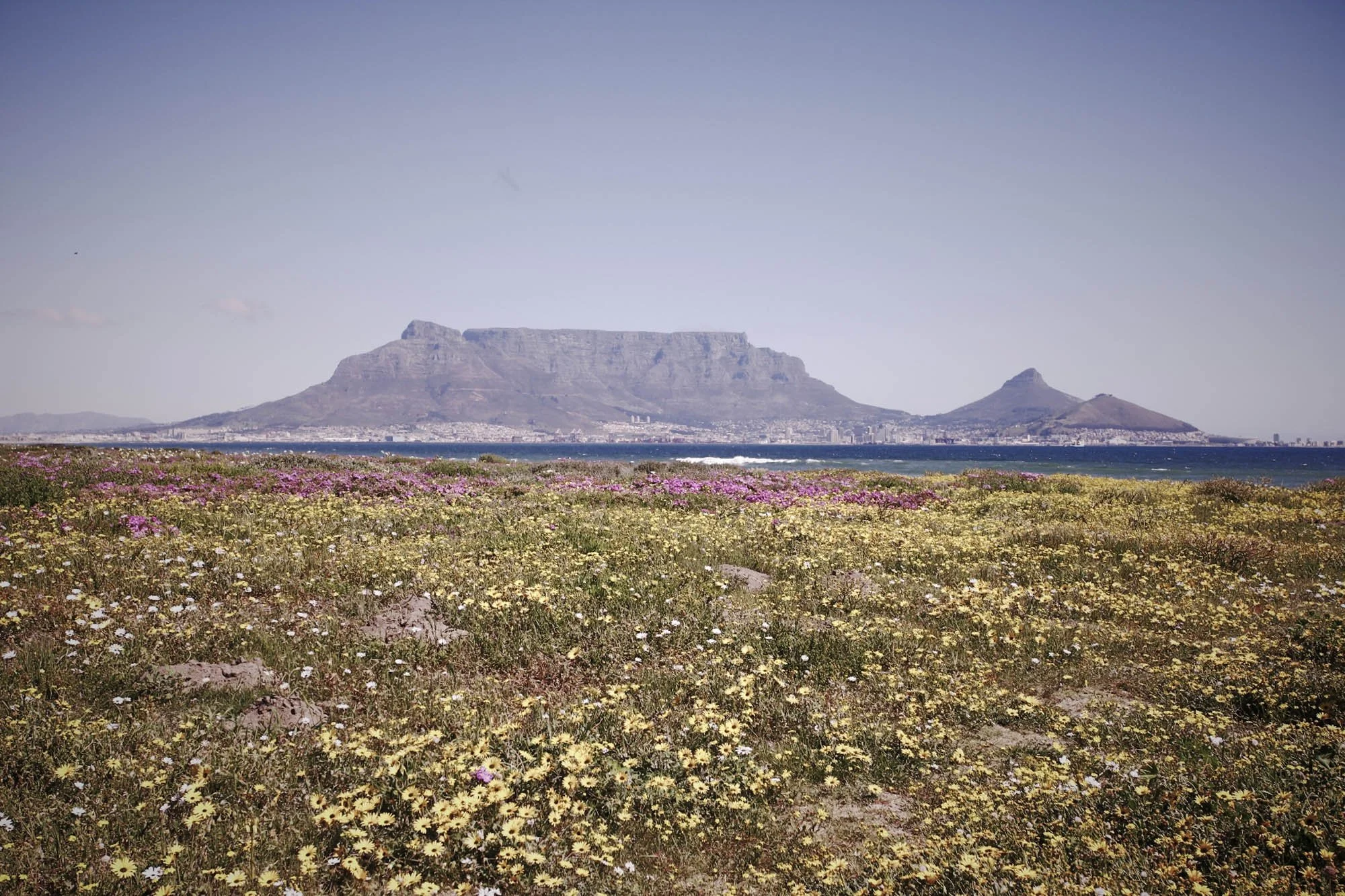 IMG_9518WW4_recci_parklot Custom Name.jpg