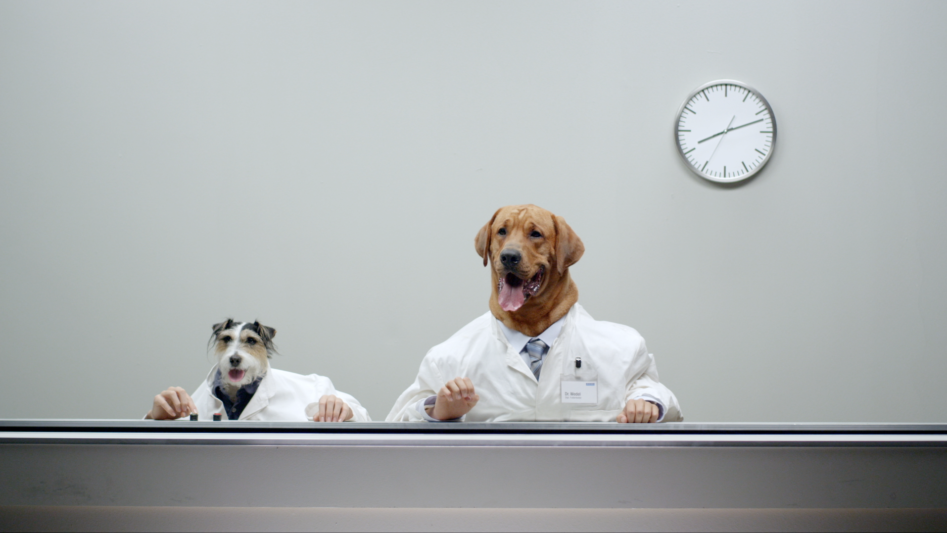 TERRA CANNIS Dogs.png