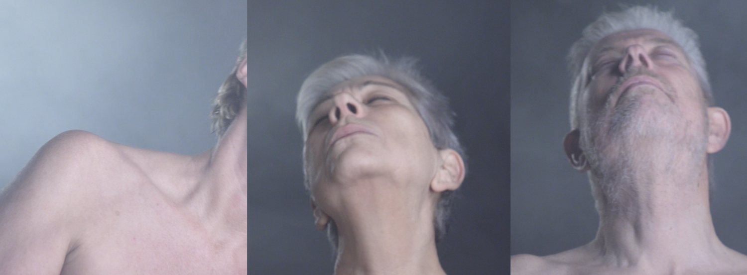 genders_senior.png