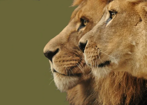 You can't do it alone. [Video]