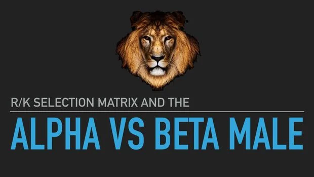 r/K Selection Matrix and the Alpha vs Beta Male