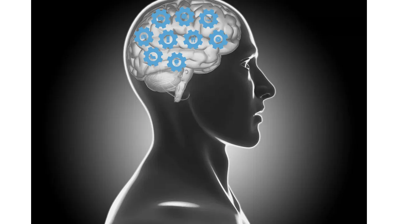 How To Reprogram Your Brain [Activity]